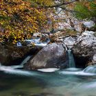 OTOÑO EN EL DUJE