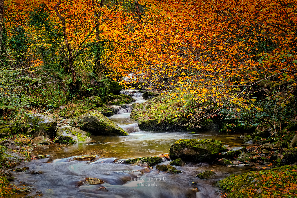 Otoño en el Infierno...