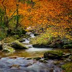 Otoño en el Infierno...