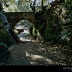 Otoño en el Molino morisco