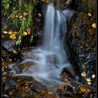 Otoño en el Moncayo