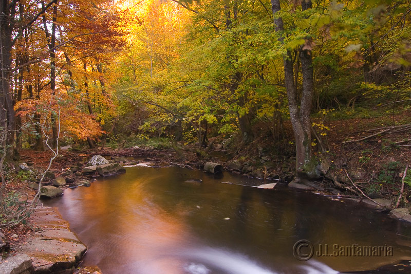 Otoño en el Montseny