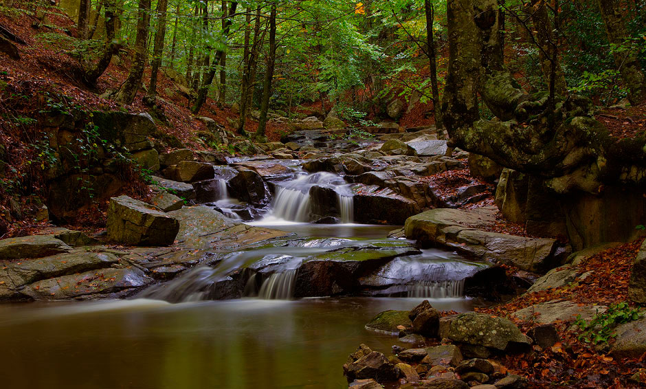 Otoño en el MONTSENY