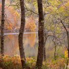 OTOÑO EN EL MONTSENY