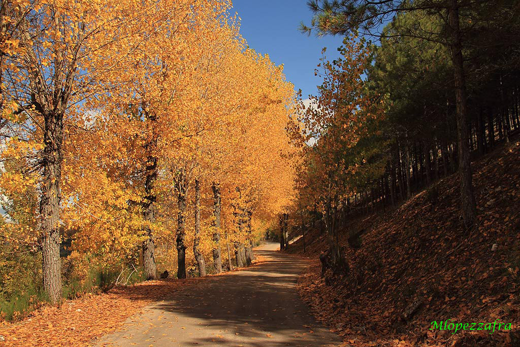 Otoño en el nacimiento del Segura.