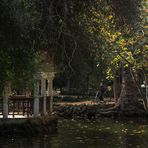 otoño en el parque