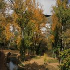 otoño en el parque