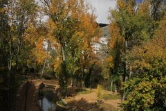 otoño en el parque