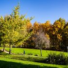 Otoño en el parque del Auditorio de Galicia.