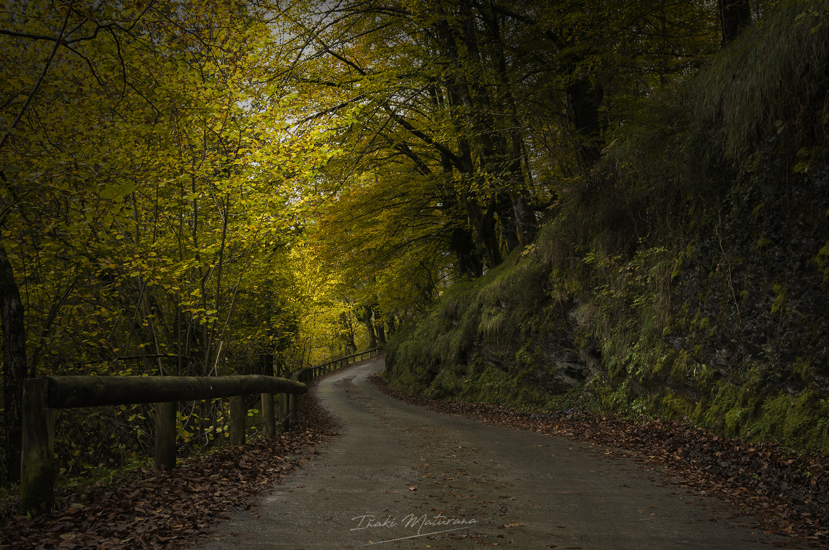 Otoño en el Parque Natural Gorbeia 