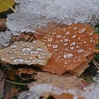 Otoño en el Pirineo