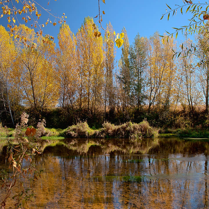 Otoño en el Órbigo