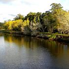 OTOÑO EN EL RIO