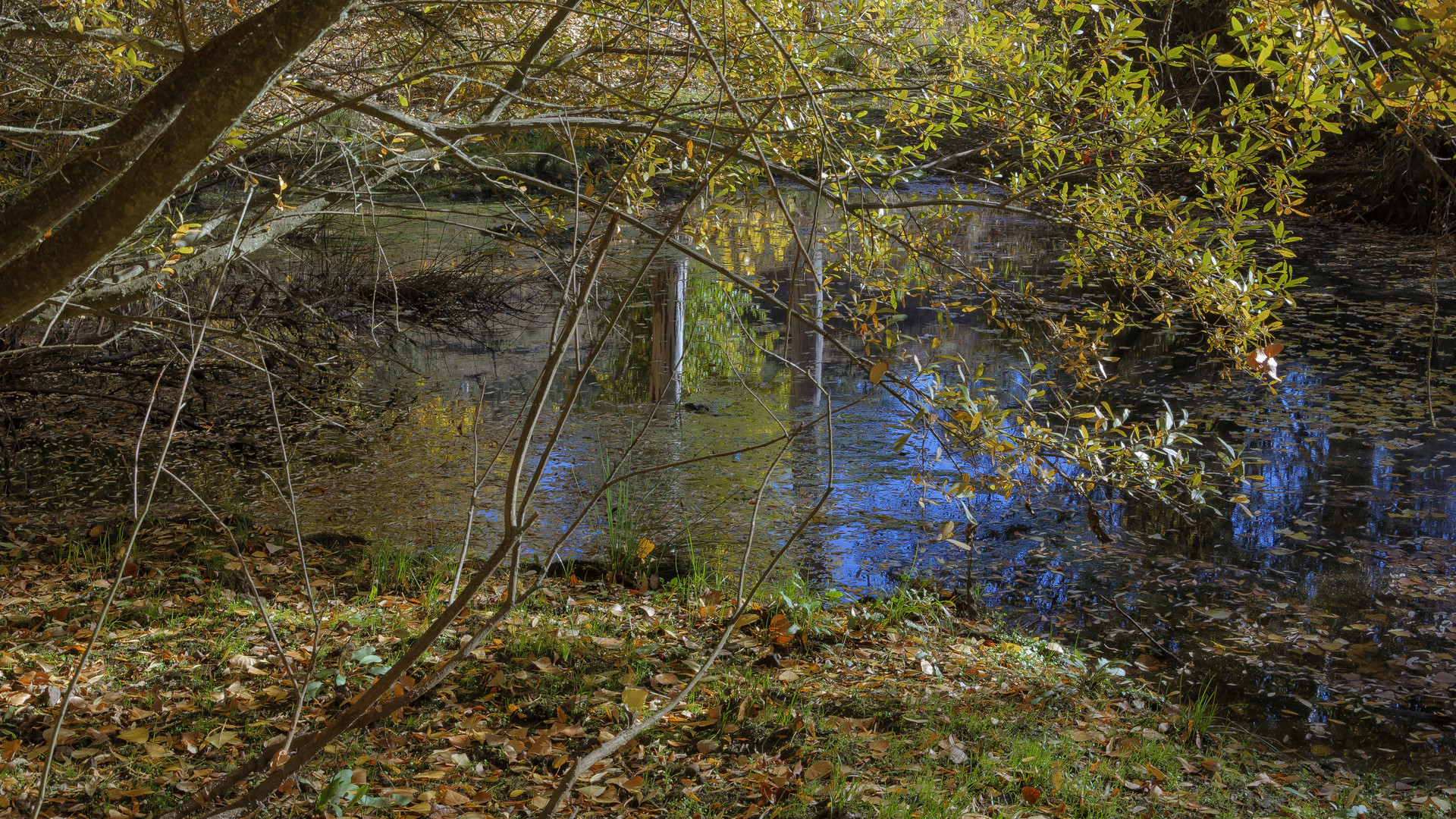 OTOÑO EN EL RÍO GUADIATO