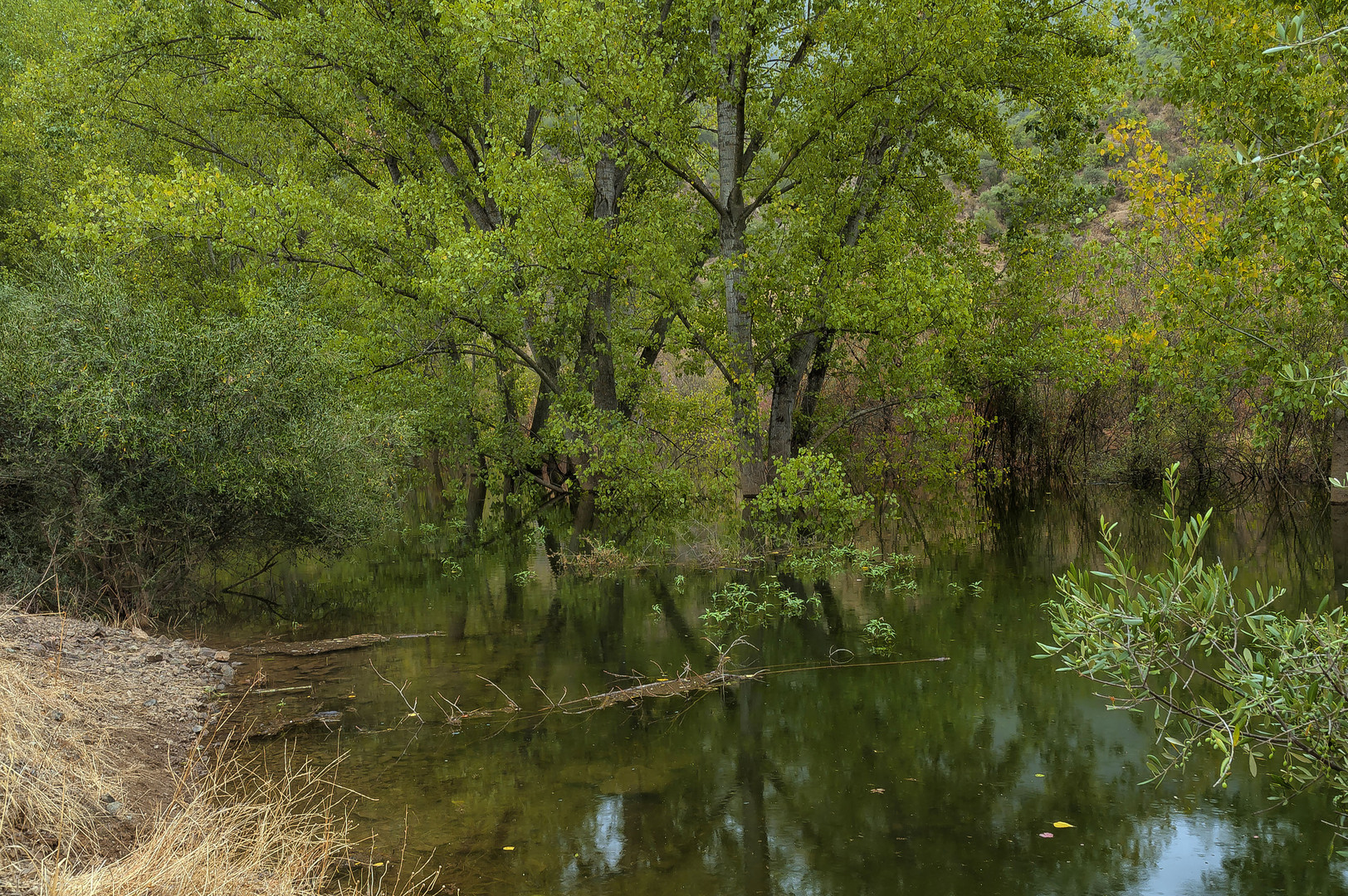 OTOÑO EN EL RÍO GUADIATO