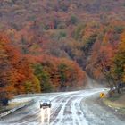 Otoño en el Sur