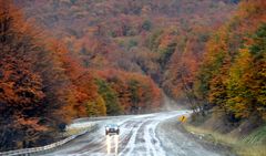 Otoño en el Sur