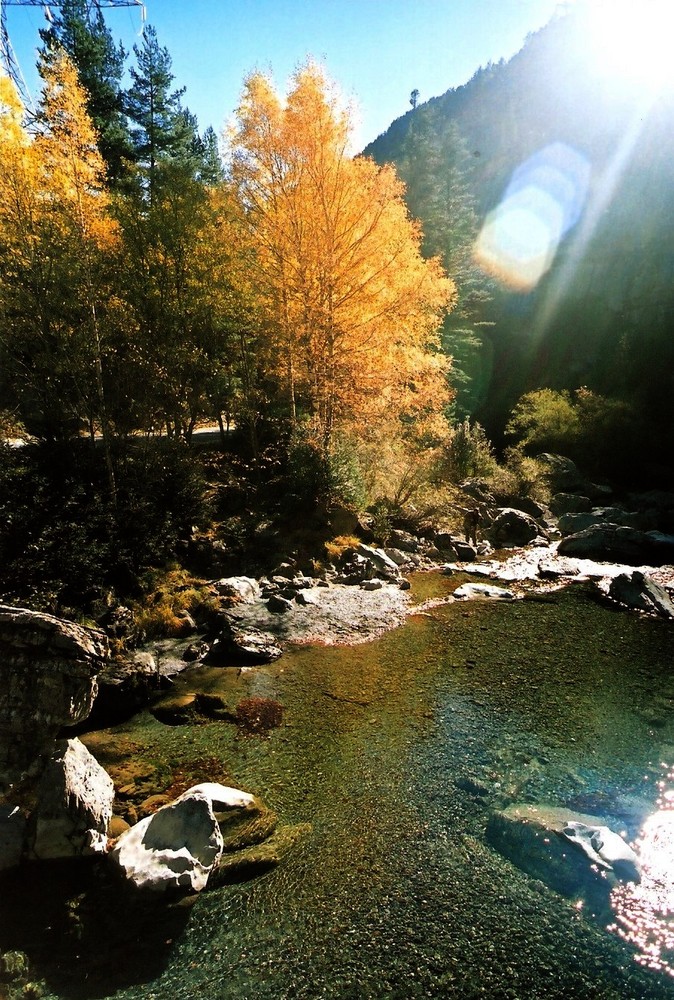 Otoño en el Valle de Bujaruelo (Huesca) 2