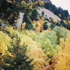 Otoño en el Valle de la Barrosa (Huesca)