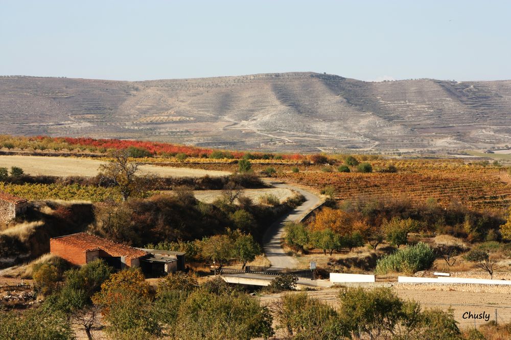 Otoño en el valle del Peregiles - Fall in the Peregiles valley