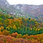 Otoño en Euskal Herria