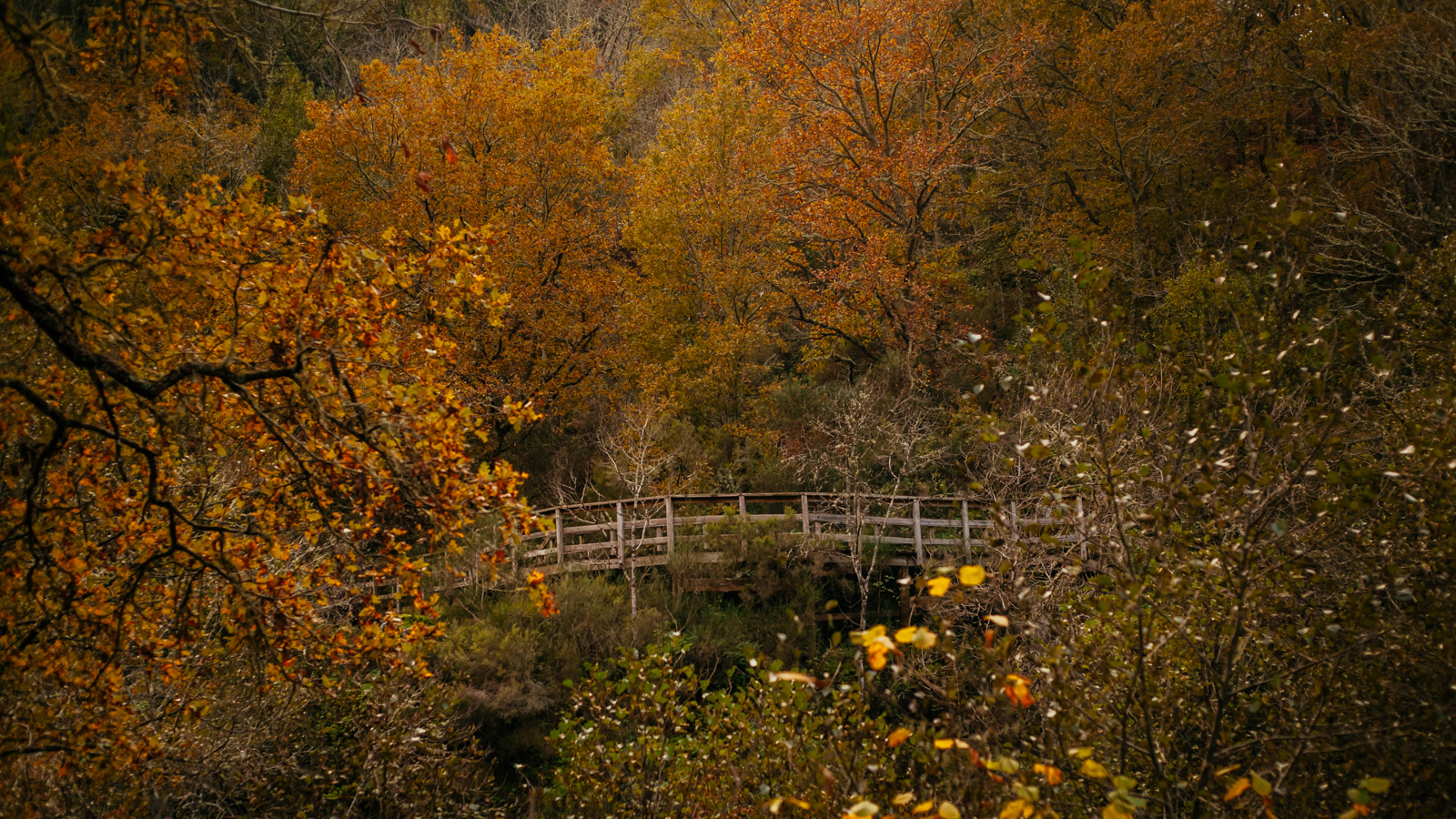 Otoño en Galicia