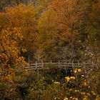 Otoño en Galicia