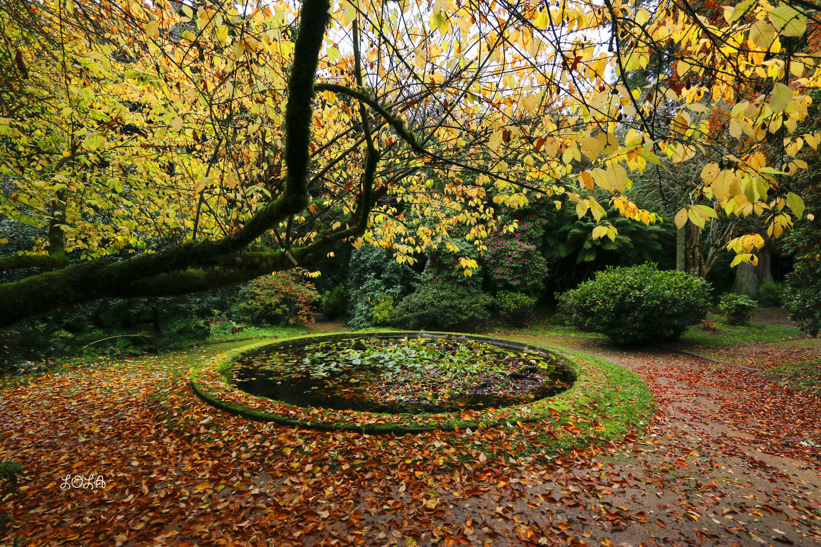 OTOÑO EN GALICIA