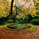 OTOÑO EN GALICIA