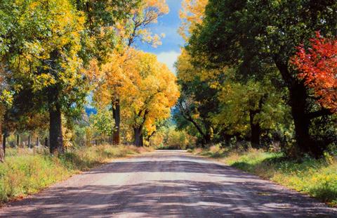 Otoño en Geneseo