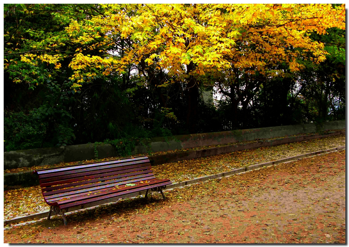 Otoño en Granada