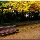 Otoño en Granada