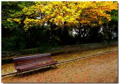 Otoño en Granada