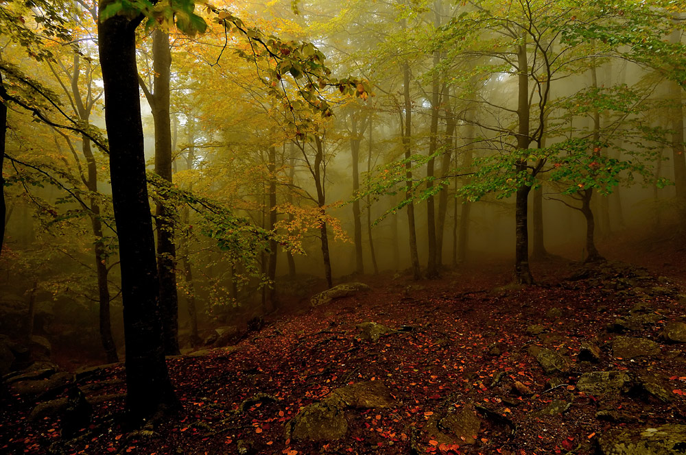 Otoño en HDR