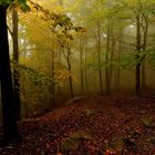 Otoño en HDR