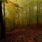 Otoño en HDR