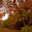 otoño en ibiza