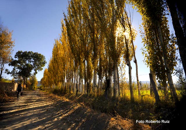 Otoño en Jáchal