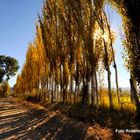 Otoño en Jáchal