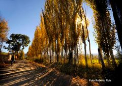 Otoño en Jáchal