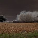 Otoño en la alameda...FERNANDO LÓPEZ   fOTOGRAFÍAS...