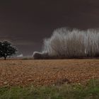 Otoño en la alameda...FERNANDO LÓPEZ   fOTOGRAFÍAS...