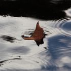 otoño en la fuente