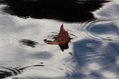 otoño en la fuente