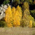 Otoño en la montaña de León.