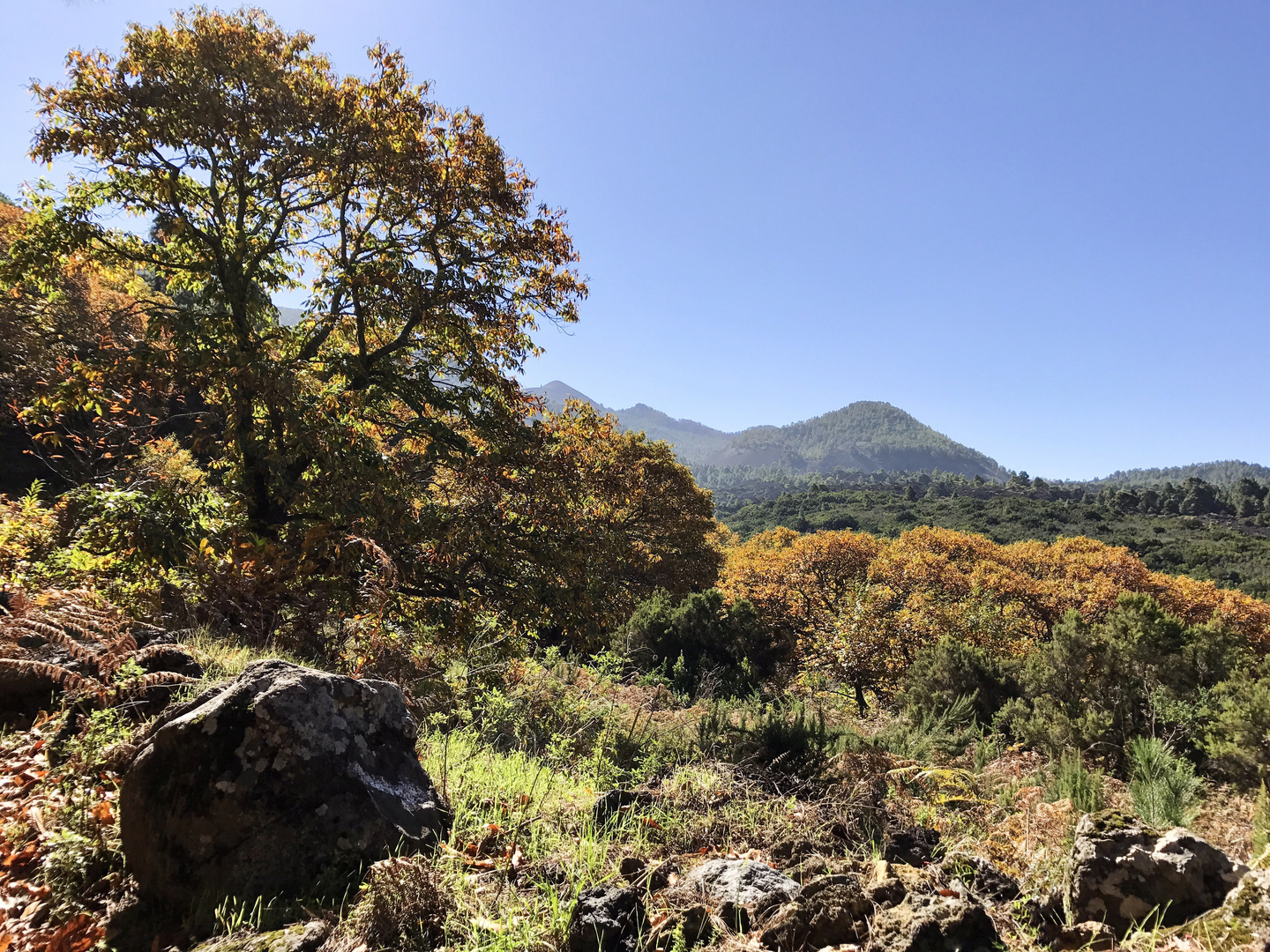 Otoño  en La Palma