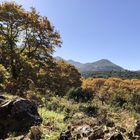 Otoño  en La Palma