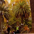 Otoño en la plaza de mi ciudad