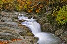 Otoño en la selva de Irati de Lorentxo Portularrume Azkue 