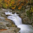 Otoño en la selva de Irati